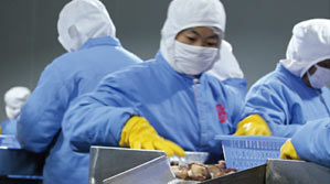 大连经济技术开发区林梅食品有限公司